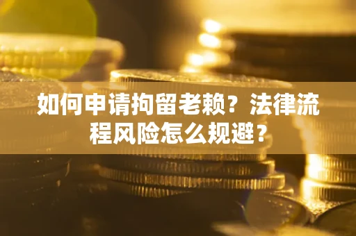 武汉如何申请拘留老赖？法律流程风险怎么规避？