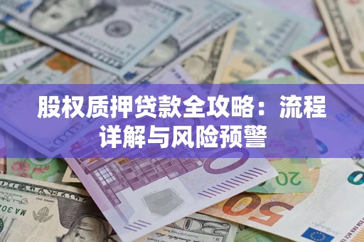 武汉股权质押贷款全攻略：流程详解与风险预警
