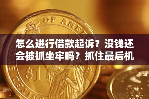 武汉怎么进行借款起诉？没钱还会被抓坐牢吗？抓住最后机会！