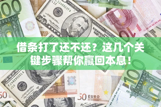 武汉借条打了还不还？这几个关键步骤帮你赢回本息！