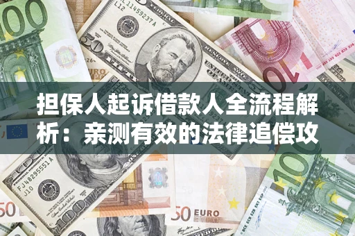 武汉担保人起诉借款人全流程解析：亲测有效的法律追偿攻略
