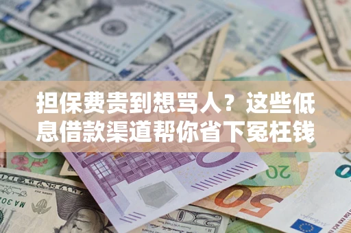 武汉担保费贵到想骂人？这些低息借款渠道帮你省下冤枉钱