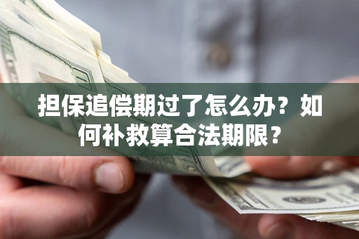武汉担保追偿期过了怎么办？如何补救算合法期限？
