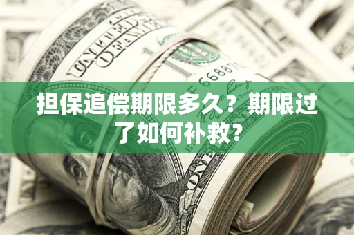 武汉担保追偿期限多久？期限过了如何补救？