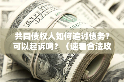 武汉共同债权人如何追讨债务？可以起诉吗？（速看合法攻略）