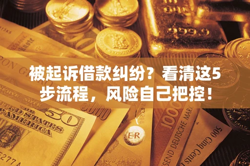 武汉被起诉借款纠纷？看清这5步流程，风险自己把控！
