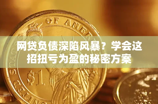 武汉网贷负债深陷风暴？学会这招扭亏为盈的秘密方案