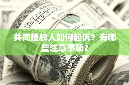武汉共同债权人如何起诉？有哪些注意事项？